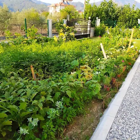 Kaya Guenluek * Ortaca (Mugla)