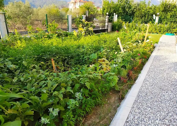 Kaya Guenluek * Ortaca (Mugla)